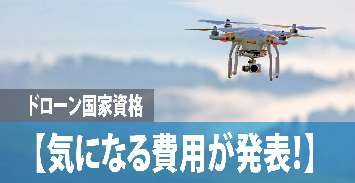 1200-630-drone-cost